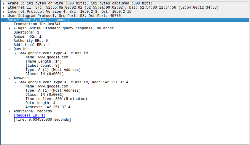 Wirkeshark DNS A Decoder