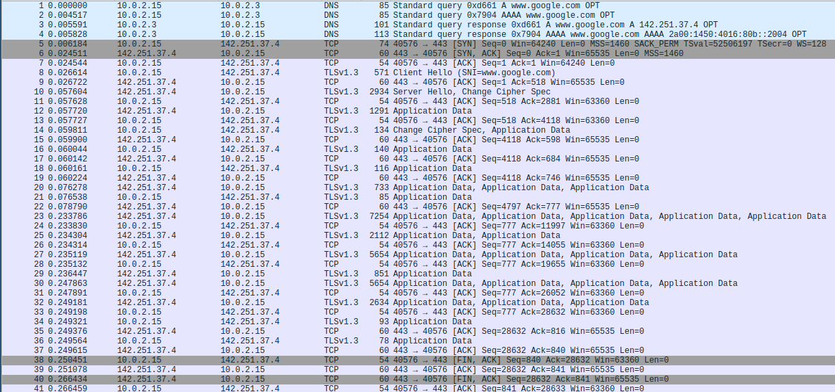 Wireshark HTTPS Overview